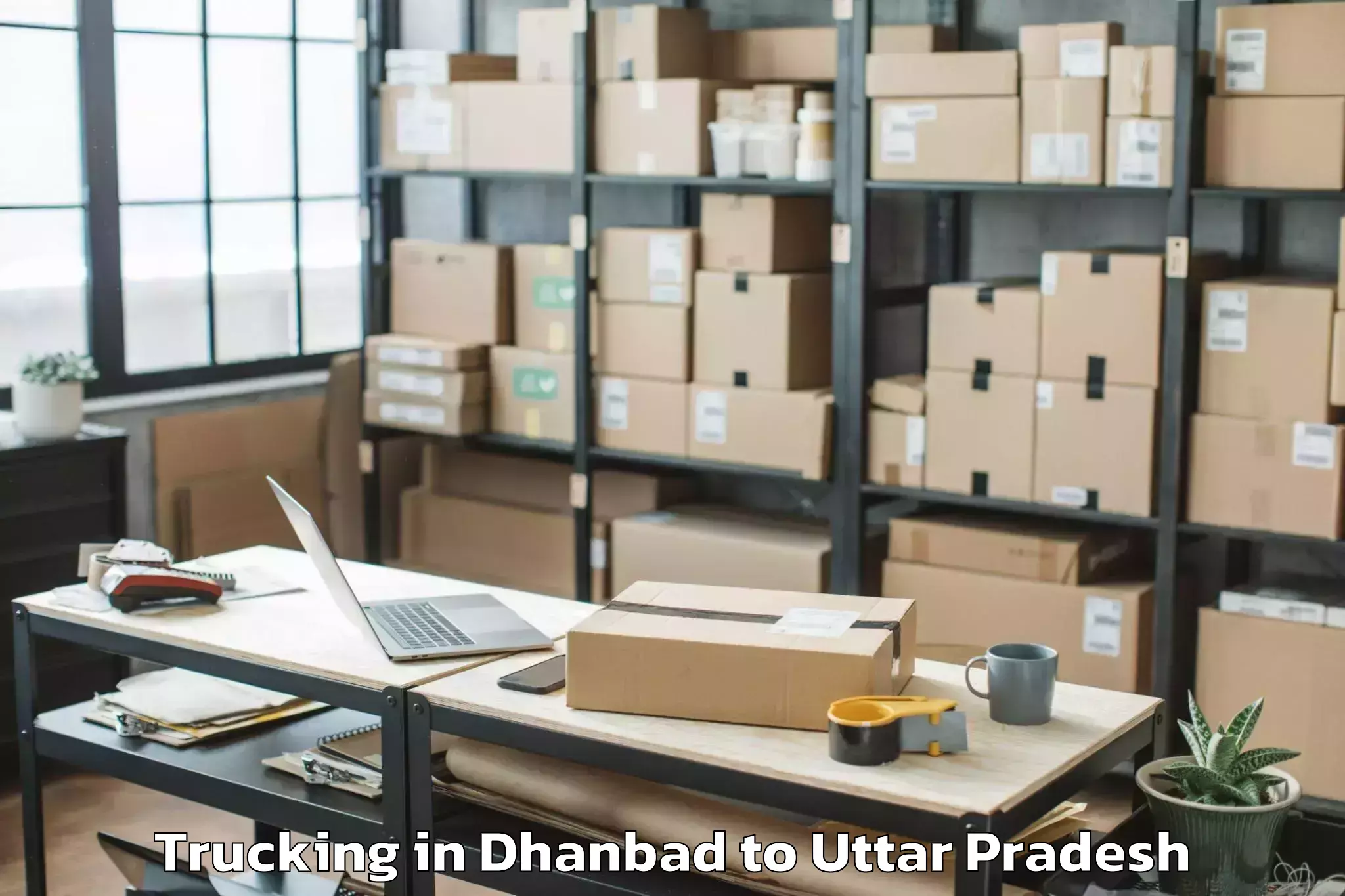 Book Dhanbad to Budaun Trucking Online